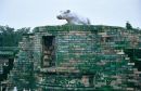 Stone Cow at Temple of Heaven, Beijing